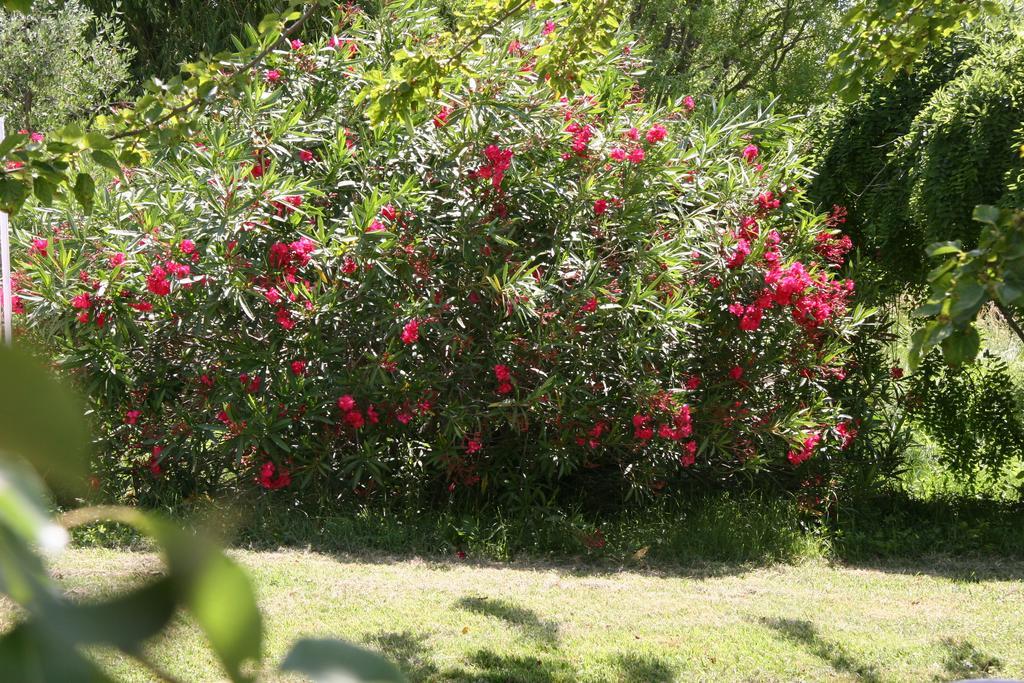 Villa Hanna Combas  Bagian luar foto